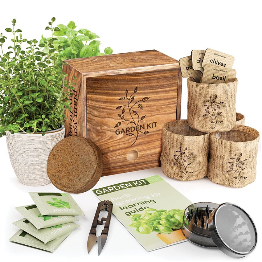 Kit herbes aromatiques en caisse bois