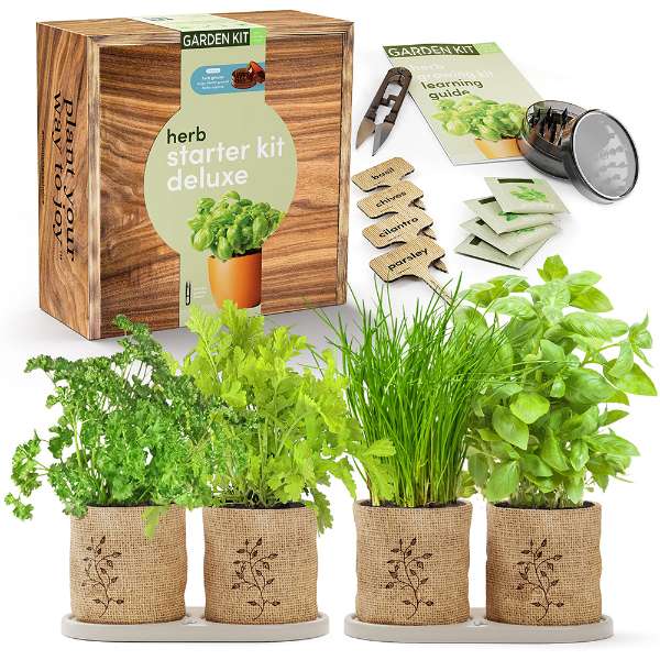 Kit de démarrage pour jardin d'herbes aromatiques d'intérieur - Cadeaux de  cuisine pour femme jardinier - Cadeau de cuisine créatif pour les amoureux  des plantes - Herbes pour la maison 