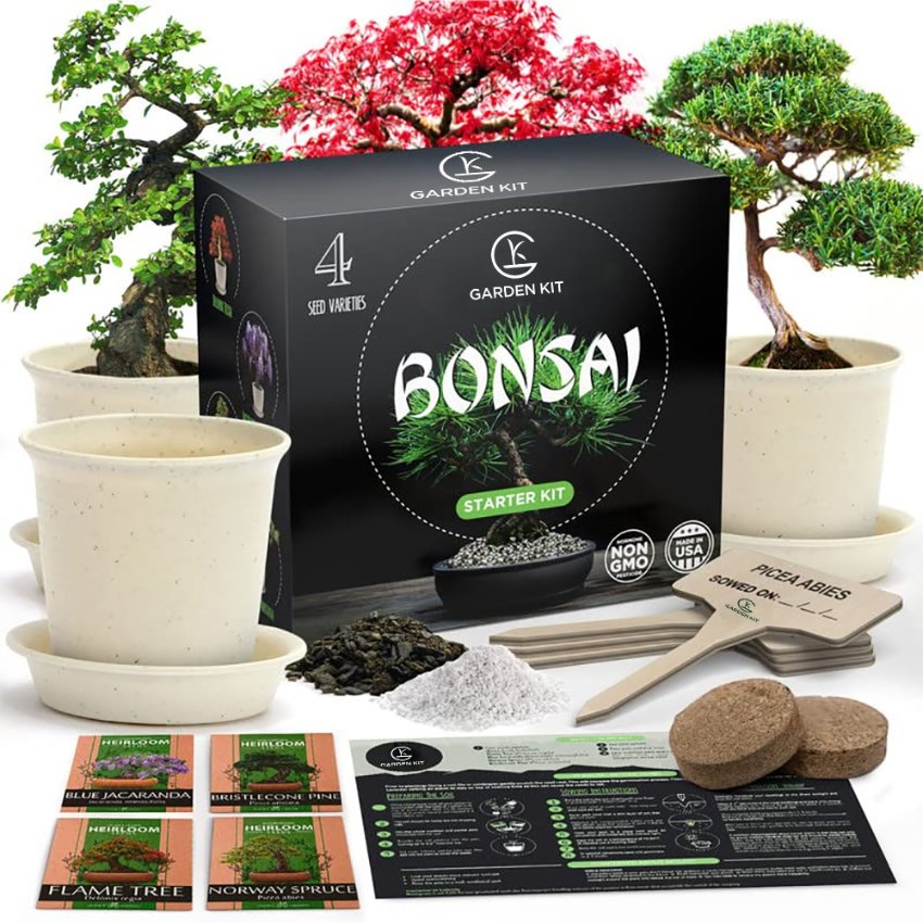 Kits de graines de bonsaï - Premier fournisseur chinois de kits de culture「 Kit de jardin」