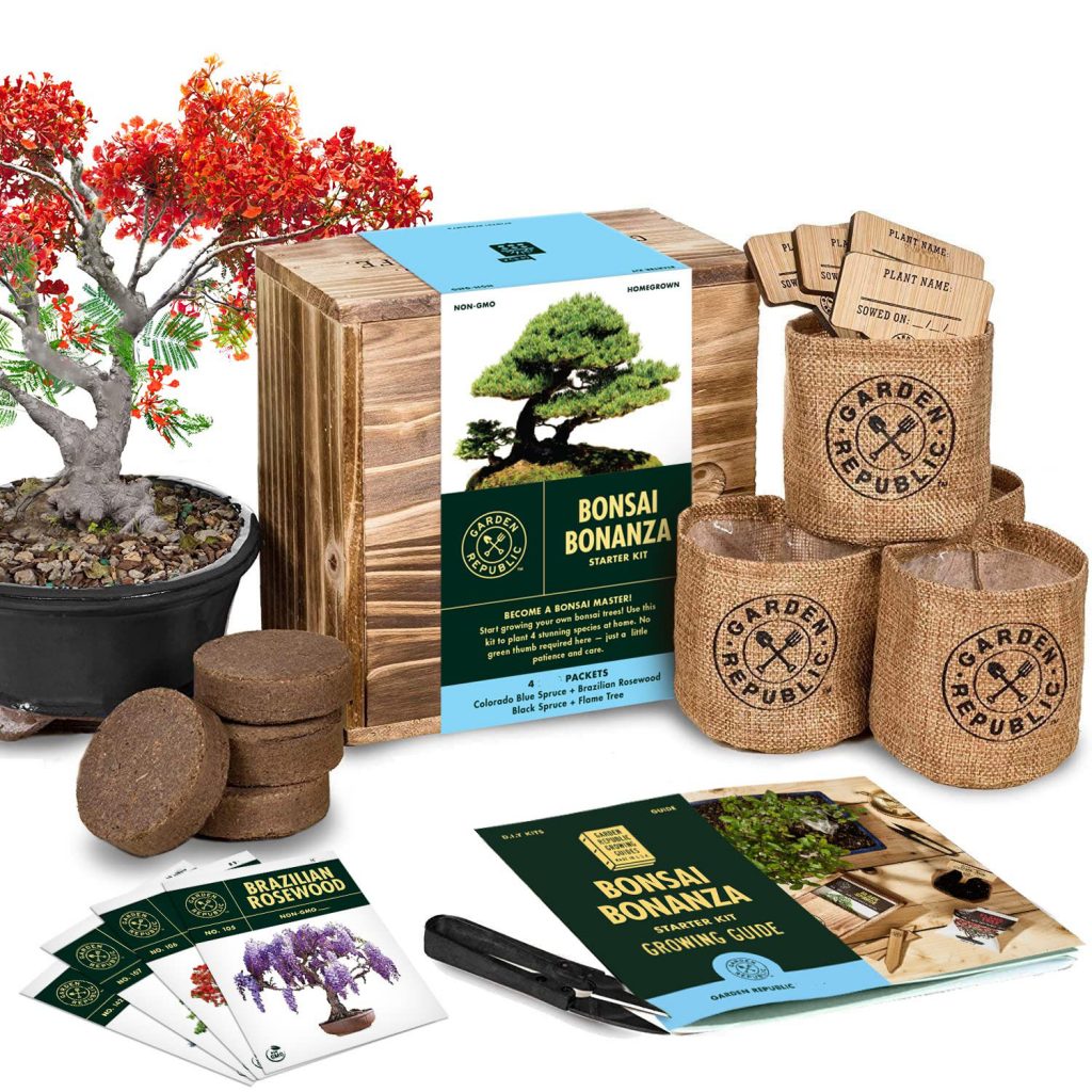 Bonsai seed Kits - China Leading Growing Kit Supplier「Garden Kit」