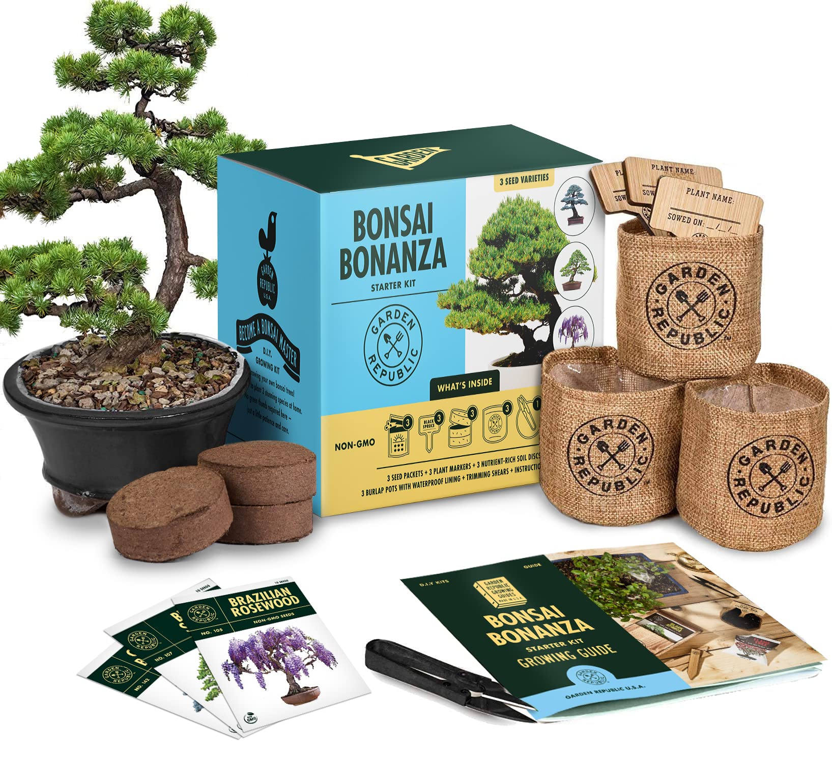 Customized bonsai starter kit China Leading Growing Kit Supplier