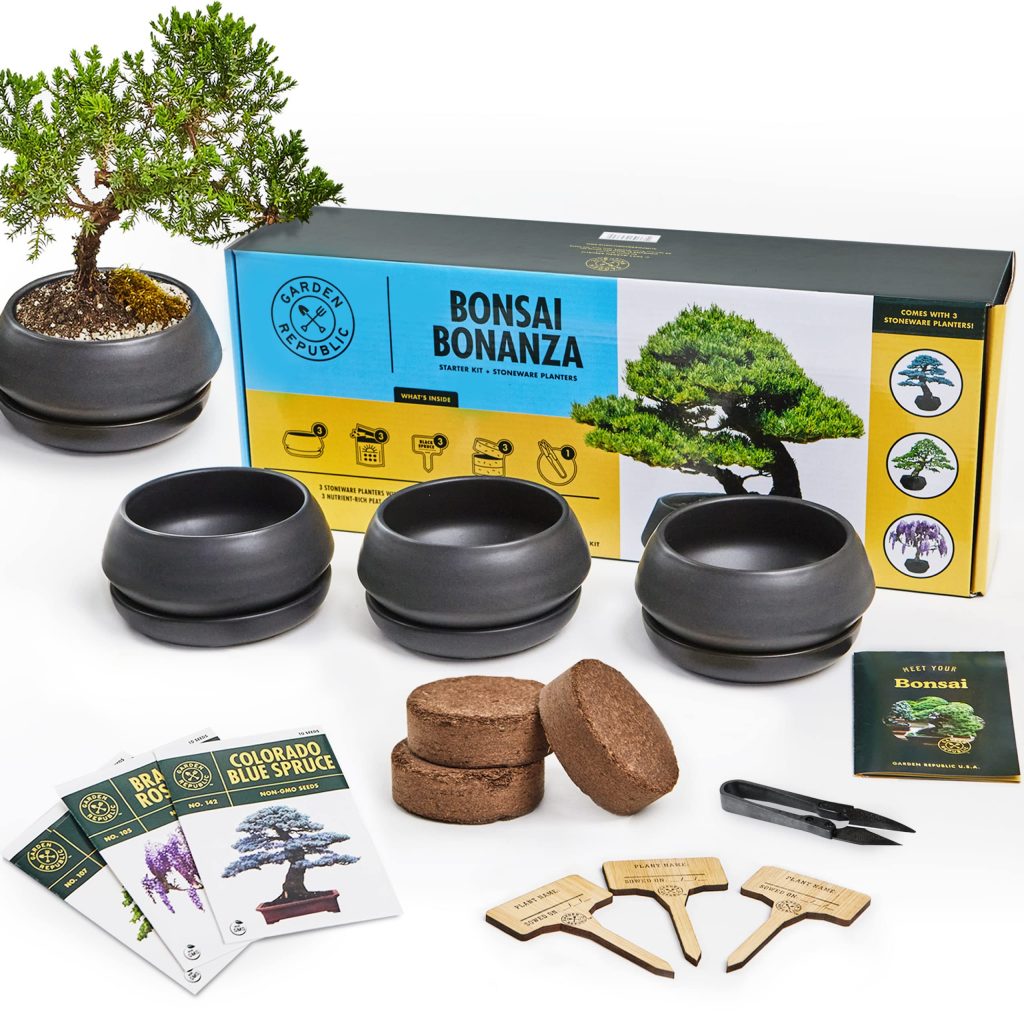 Bonsai Starter Kit - DIY Bonsai Gardening Gift - Garden Hobbies for Adults,  Women & Men : 4 Unique Tree Seeds, Soil, Pots, Pruning Shears, Plant  Markers + Wood Gift Box 