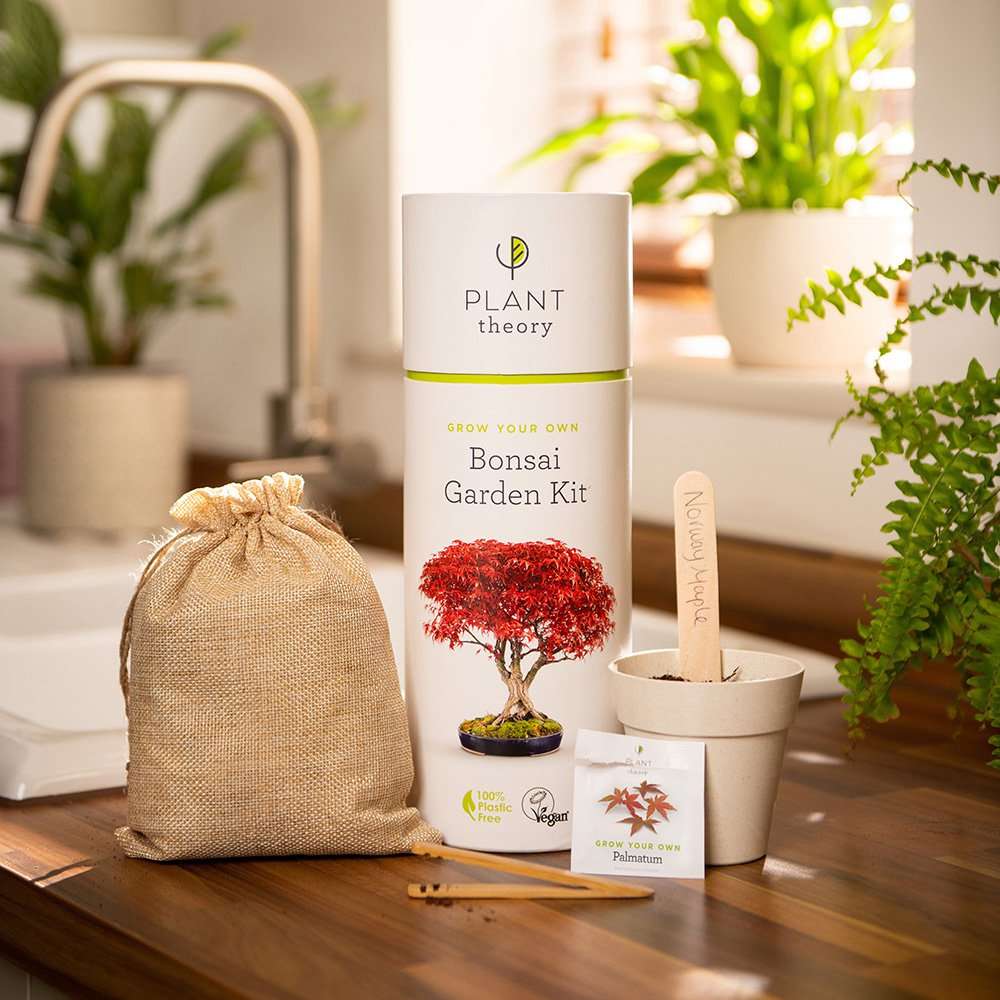 Kit de démarrage de graines de bonsaï Faites pousser votre propre