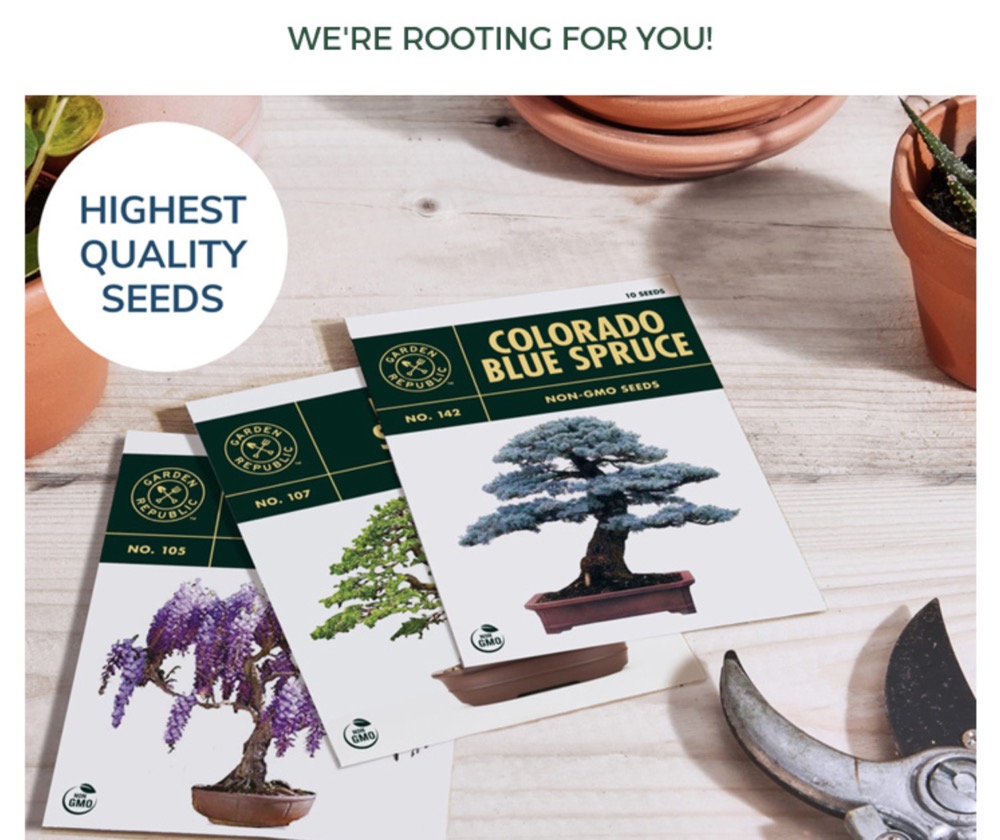 Bonsai seed Kits - China Leading Growing Kit Supplier「Garden Kit」
