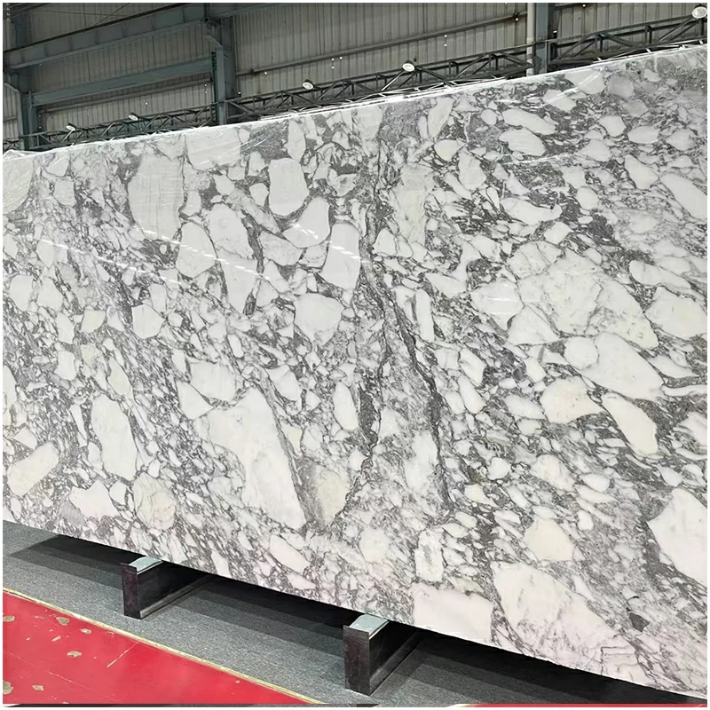 calacatta arabescato marble