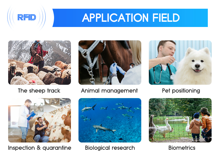 RFID applications: sheep tracking, animal management, pet positioning, inspection, research, biometrics.