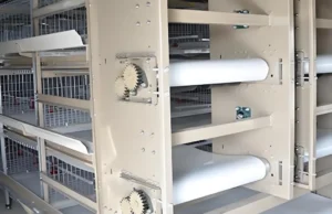 Een banner, een geweldige erkenning! JWELL-engineers ontvangen lof van klanten voor hun “uitstekende technologie” en “uitstekende service”! 2 Een banner, een grote erkenning! JWELL ingenieurs winnen lof van klanten voor hun "uitmuntende technologie" en "uitstekende service"!