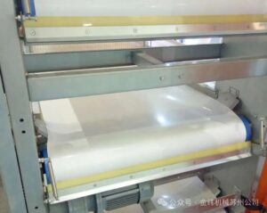 Een artikel om te begrijpen: PP speciale transportband extrusie productielijn voor de fokkerij - een efficiënt mestreinigingsmiddel voor fokkerijen